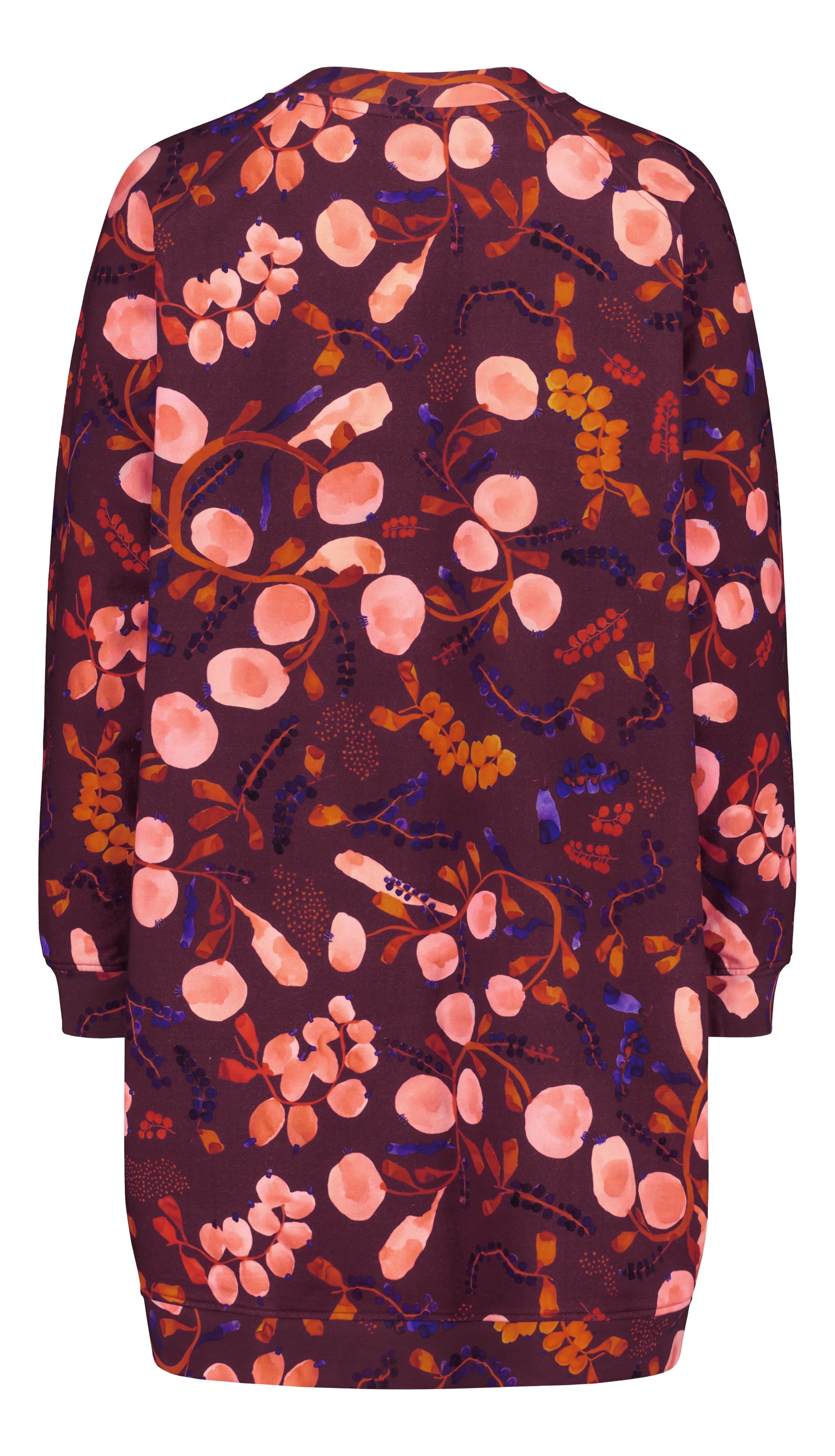 COLLEGEMEKKO, Berrycloud